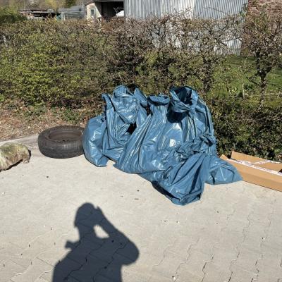 Muellsammelaktion 2026 015